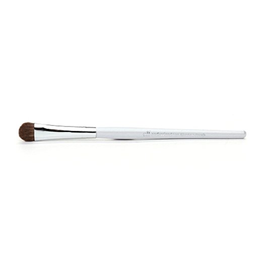 Top 10 Best Eye Makeup Brush & Brushes Set Must Haves