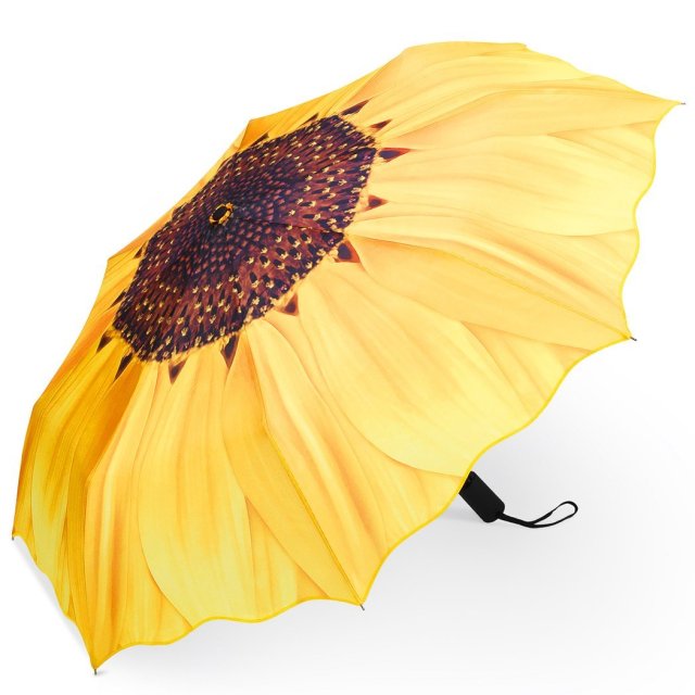 Best Umbrellas - Top Rated Umbrellas