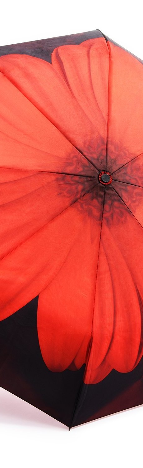 Best Umbrellas - Top Rated Umbrellas