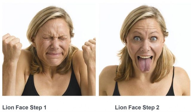 Image result for Lion Face  yoga