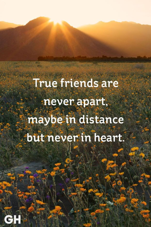  Short Friendship Quotes to Share With Your Best Friend - Cute ... | Friend quotes distance, Long distance friendship quotes, Short friendship quotes