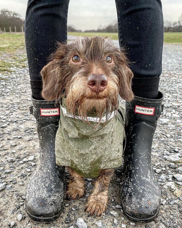 How to Wear Hunter Boots as a Trendsetting Fashion Fan