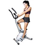 81HHYt8oWzL. SY355 10 Best Exercise Bikes for Weight Loss 2024: Best Exercise Bike to Lose Weight