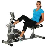 81NgW tD13L. SY355 10 Best Exercise Bikes for Weight Loss 2024: Best Exercise Bike to Lose Weight