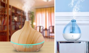 Best Cool Mist Humidifiers