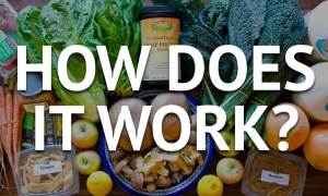 How the military diet work How to Diet Safely & See Results