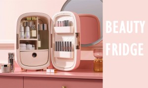 best Beauty Makeup Fridge