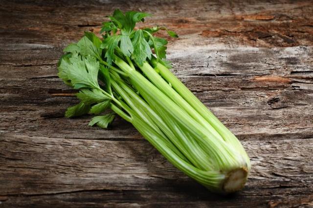 Celery