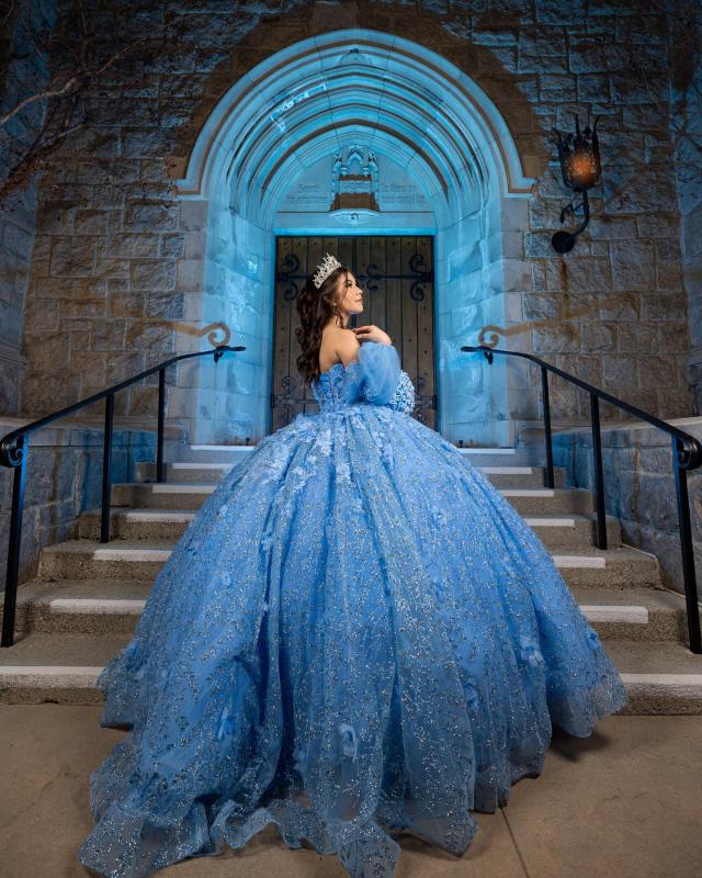 Quinceanera dress 18