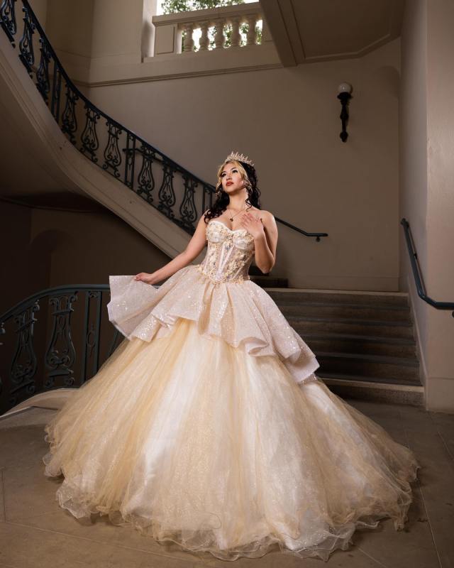 Quinceanera dress 19