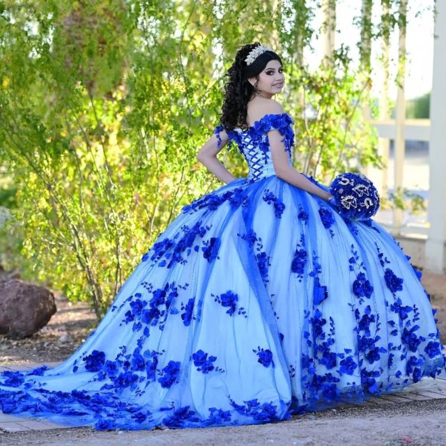 Quinceanera dress 25