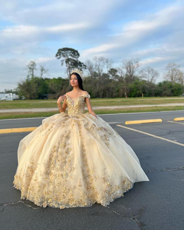 Quinceanera dress 35