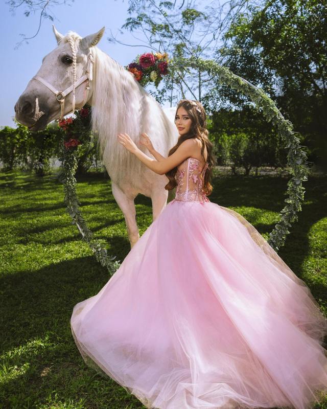 Quinceanera dress 4