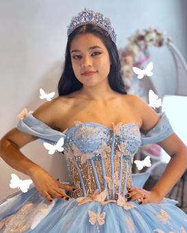 Quinceanera dress 5