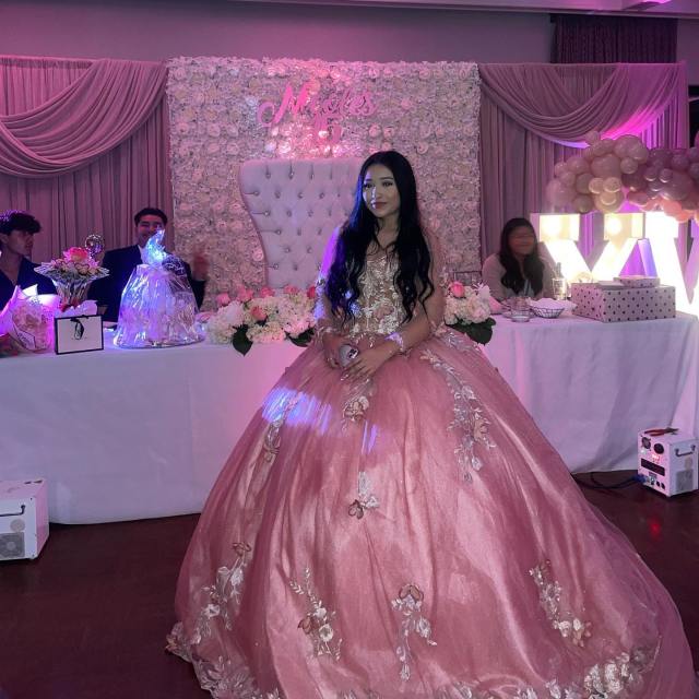 Quinceanera dress 6